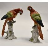 A pair of continental porcelain parrots, 19th century, bearing Naples mark in blue, each approx.