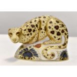 Royal Crown Derby Savannah Leopard,