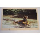 David Shepherd (1931-2017), Indian Siesta, tiger resting in sunlight,
