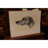 Jayne E Goim (?) study of a dog head (whippet or lurcher), watercolour, signed, blind stamp, IR,