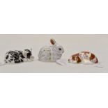 Royal Crown Derby members paperweight packs; Misty kitten - Bunny and Spaniel puppy,