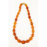 A graduated amber necklace with yellow metal clasp, total gross weight approx 46.