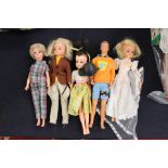 Four Sindy dolls with Paul doll