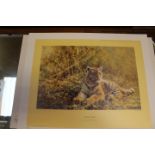 David Shepherd (1931-2017), Teenage Tiger, signed print numbered 1497/1500, unmounted/unframed,