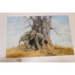 David Shepherd (1931-2017), Baobab and Friends, elephants,