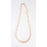 A Ciro graduated pearl necklace