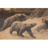 Herbert Dicksee original etching of a pair of polar bears, titled "In the Silent North", early