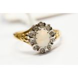A opal and diamond cluster ring, the oval claw set opal with a border of diamonds set in 9ct gold,