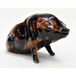 Denby pig money box