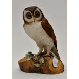 Royal Crown Derby figure of an owl