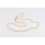 A cultured pearl necklace, having silver gilt clasp, length 49.5cm.