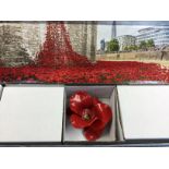 Ceramic Poppy by Paul Cummins from the Tower of London Art instalation "Blood Swept Lands and Seas