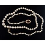 A single row cultured pearl necklace with garnet and pearl clasp