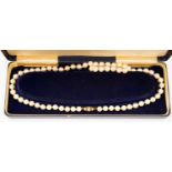 A Mikimoto cultured pearl necklace, having 9ct gold, jade and pearl set clasp,