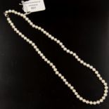 A rope of cultured pearls with silver lobster claw clasp