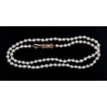 A string of cultured pearls all of one size with a 9 ct gold clasp