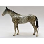 A Beswick dappled grey horse, 21cm height approx, 28cm length approx, racehorse as found.
