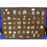 A collection of over 50 World Fire Brigade cap badges mounted on a hessian fabric covered hardboard