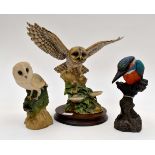 Border Fine Arts figure of a barn owl by Ayres on wooden plinth and kingfisher statue by