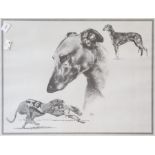 Pair of racing greyhound prints. Signed "Vicki". Framed 47.5cm x 57.5cm