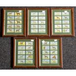 Churchman cigarette cards of greyhounds. Framed (5). 30cm x 24cm