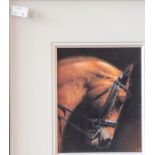 Darren Baker, original oil, painting of a horse, titled "Classic Horse 1". Framed. Signed by the