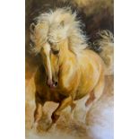 Dianne Breeze (British), painting of a horse "Universo", acrylic oil on canvas, signed and dated "