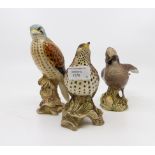 J Beswick sparrow hawk,