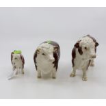 J Beswick Hereford bull and another Hereford and calf Condition: Large Bull: metal ring through