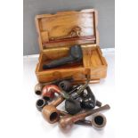 A collection of pipes and a tobacco box (12)