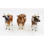 J Beswick collection of Jersey bull and two cows Condition: No obvious signs of damage or
