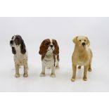 J Beswick springer spaniel,