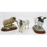 Border Fine Arts black faced tup, Belgian blue cow and box,