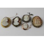 A collection of five carved shell cameo brooches, to include; a large yellow metal and shell oval