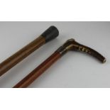 Redvars Ilewehyn walking cane and riding crop