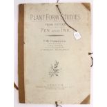 Plant form Studies by T W Hammond, English pen and ink some plates missing (nos 2,