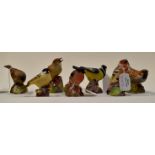 Seven Royal Worcester birds, figures include, "Marsh Tit" and "Hedge Sparrow".