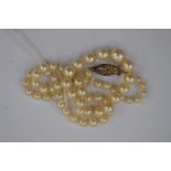 A string of graduated pearls on white metal clasp.
