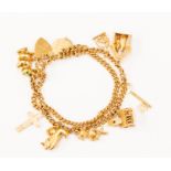 A 9ct gold double chain charm bracelet with nine charms including 9ct gold and unmarked yellow