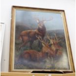 British School, 20th Century, Monarch of the Glen, oil on board,