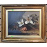 A pair of late 19th Century still life's oil on canvas, signed H.