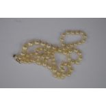 A Ciro cultured pearl necklace, graduated pearls on a 9ct white gold barrel clasp,
