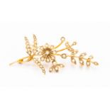 A 9ct gold and seed pearl brooch, in the form of a spray, length approx 5.