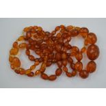 Two faceted amber bead necklaces,