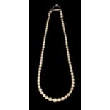 A cultured pearl necklace, cream lustre with a tubular white metal diamond set clasp,