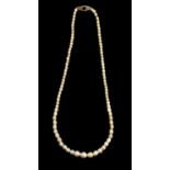 A natural pearl necklace comprising graduated pearls on a sapphire and diamond set 18ct gold clasp,