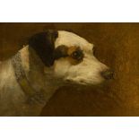 R..Plum (British, fl.1874-1886), 'Jumbo' - head of a terrier, signed and dated 1884 on collar, oil