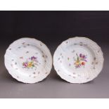 A pair of Meissen shallow dishes, moulded rim borders, painted with flowers and insects, 19th