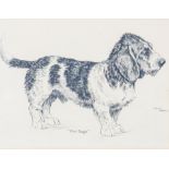 Arthur Wardle (British, 1864-1949), study of a rough haired Basset Hound, signed c.r., and inscribed