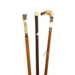Three walking sticks with carved ivory handles, one has silver collar, one silver knop handle